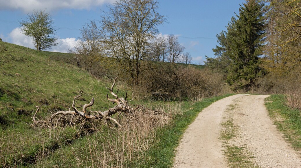 Kuhbachtal, Hausen, Röckenhofen, Naturschutzgebiet Kuhbachtal bei Hausen, Landschaftsschutzgebiet und Naturpark Altmühltal, FFH-Gebiet Trauf der südlichen Frankenalb