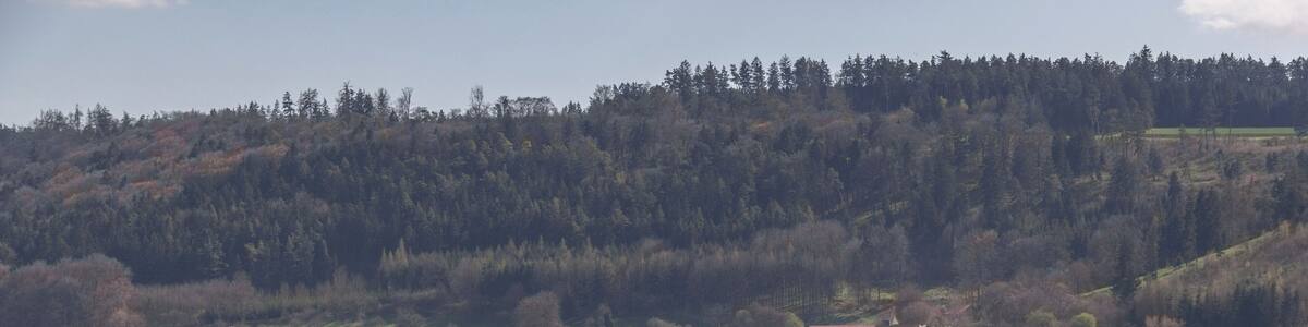 Ein ländliches Dorf eingebettet in ein Tal mit sanften Hügeln und einem dichten Wald im Hintergrund.