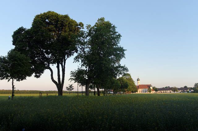 A field with three large trees and a building with a red roof in the background.