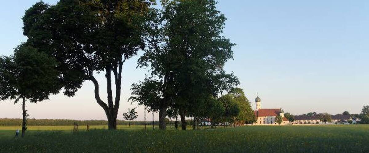 A field with three large trees and a building with a red roof in the background.