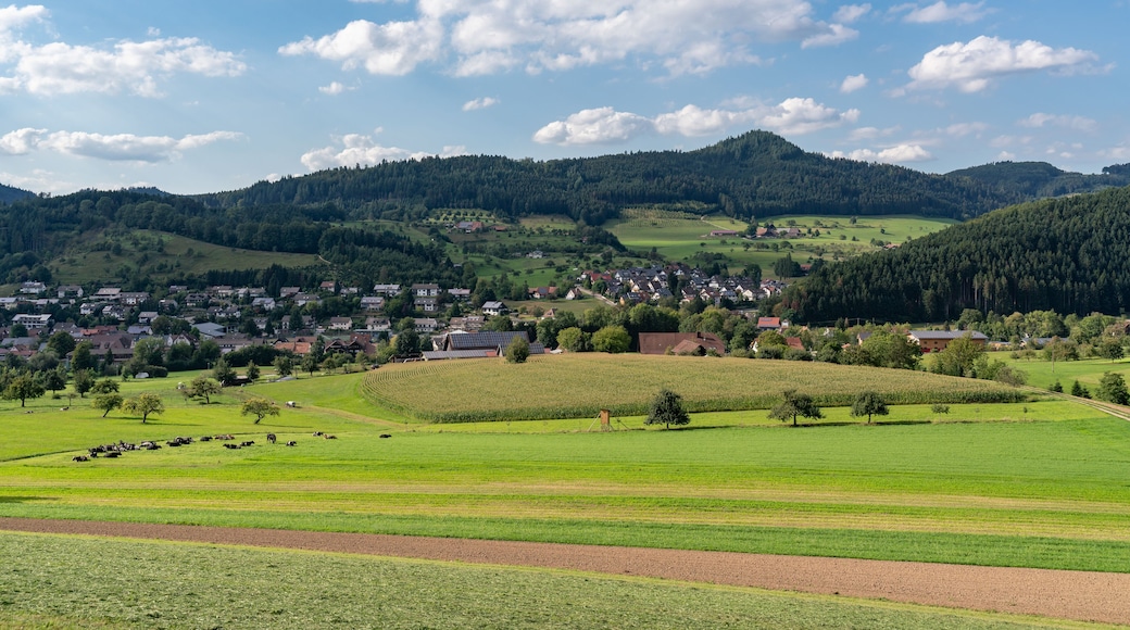 Black Forest landscape near Zell am Harmersbach, Germany