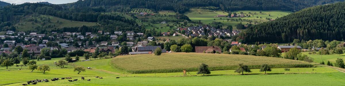 Black Forest landscape near Zell am Harmersbach, Germany