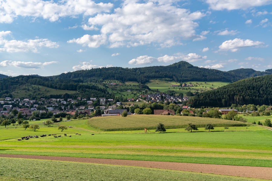 Black Forest landscape near Zell am Harmersbach, Germany