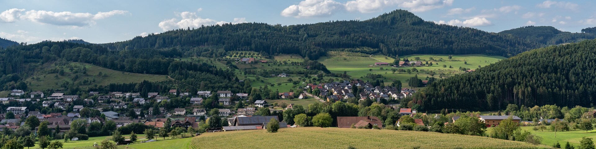 Black Forest landscape near Zell am Harmersbach, Germany