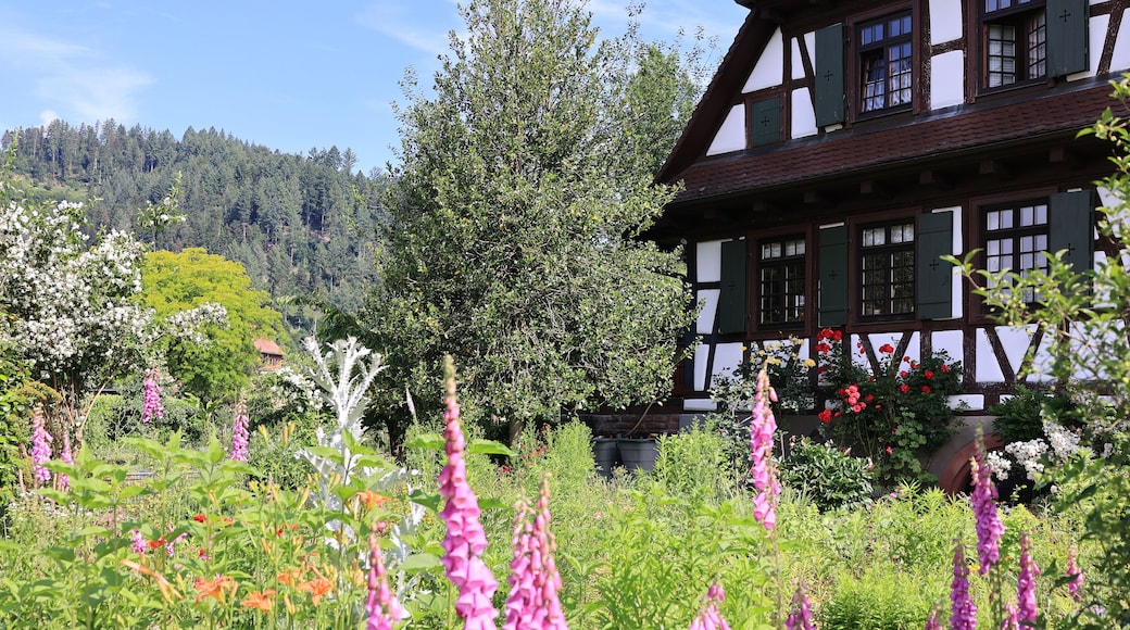 Historisches Fachwerkhaus im Zentrum der Stadt Zell am Harmersbach im Schwarzwald