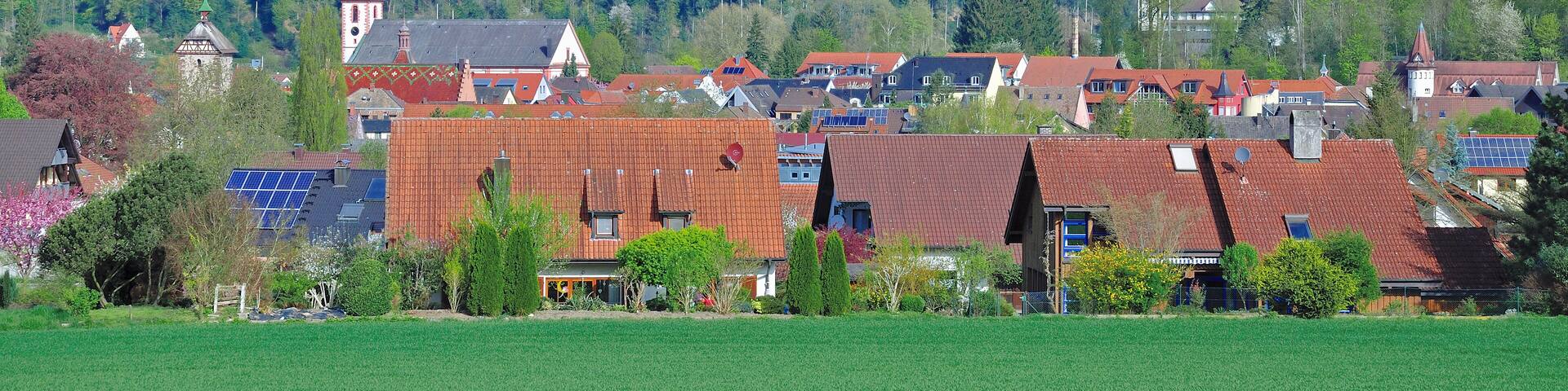 A town with red-roofed houses, a church, and a forested hill in the background.