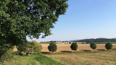 Der Volkmarser Weg (V) zwischen Bründersen und dem Naturdenkmal Raue Steine