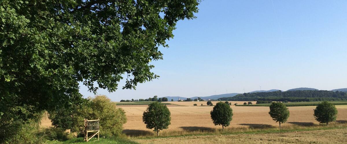 A rural landscape with a large tree, a field, and distant hills.