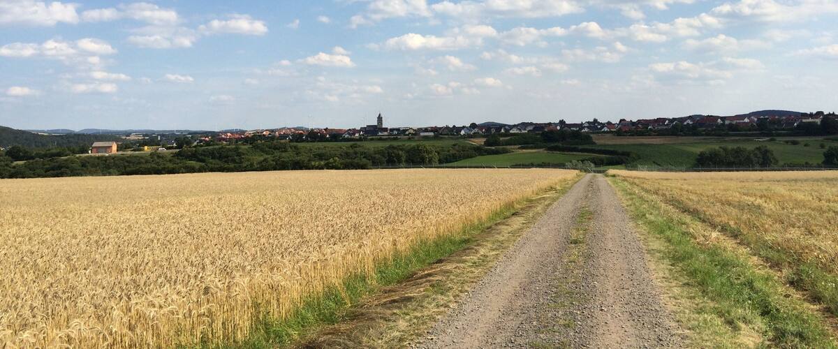 Der Volkmarser Weg (V) zwischen der (nicht mehr erhaltenen) Viesebecker Warte und dem Solarpark Wolfhagen mit Blick auf Wolfhagen