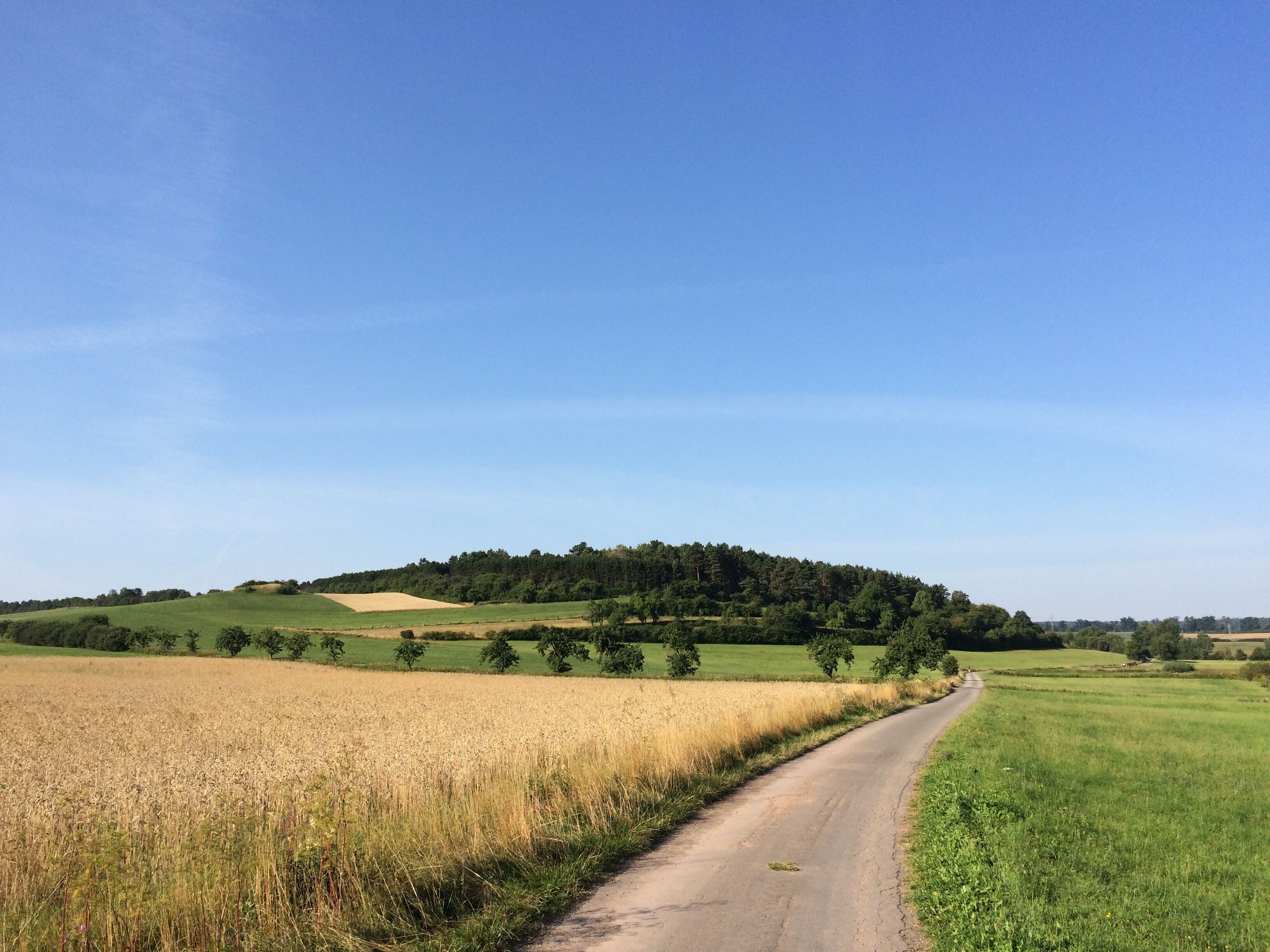 Der Volkmarser Weg (V) zwischen der Ippinghäuser Straße (L 3214) und dem Graner Berg auf der Straße "Am Tränkeweg"