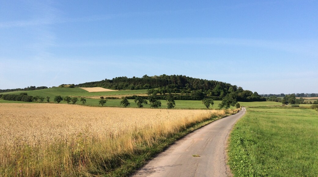 Der Volkmarser Weg (V) zwischen der Ippinghäuser Straße (L 3214) und dem Graner Berg auf der Straße "Am Tränkeweg"