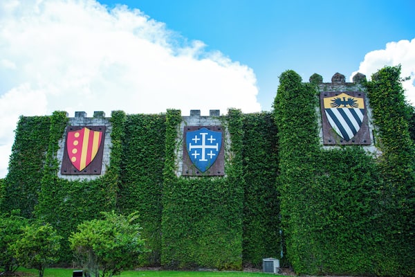 Kissimmee_MedievalTimes_6153643_01