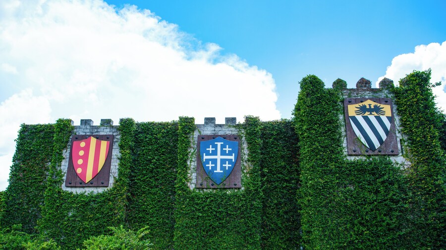 Kissimmee_MedievalTimes_6153643_01