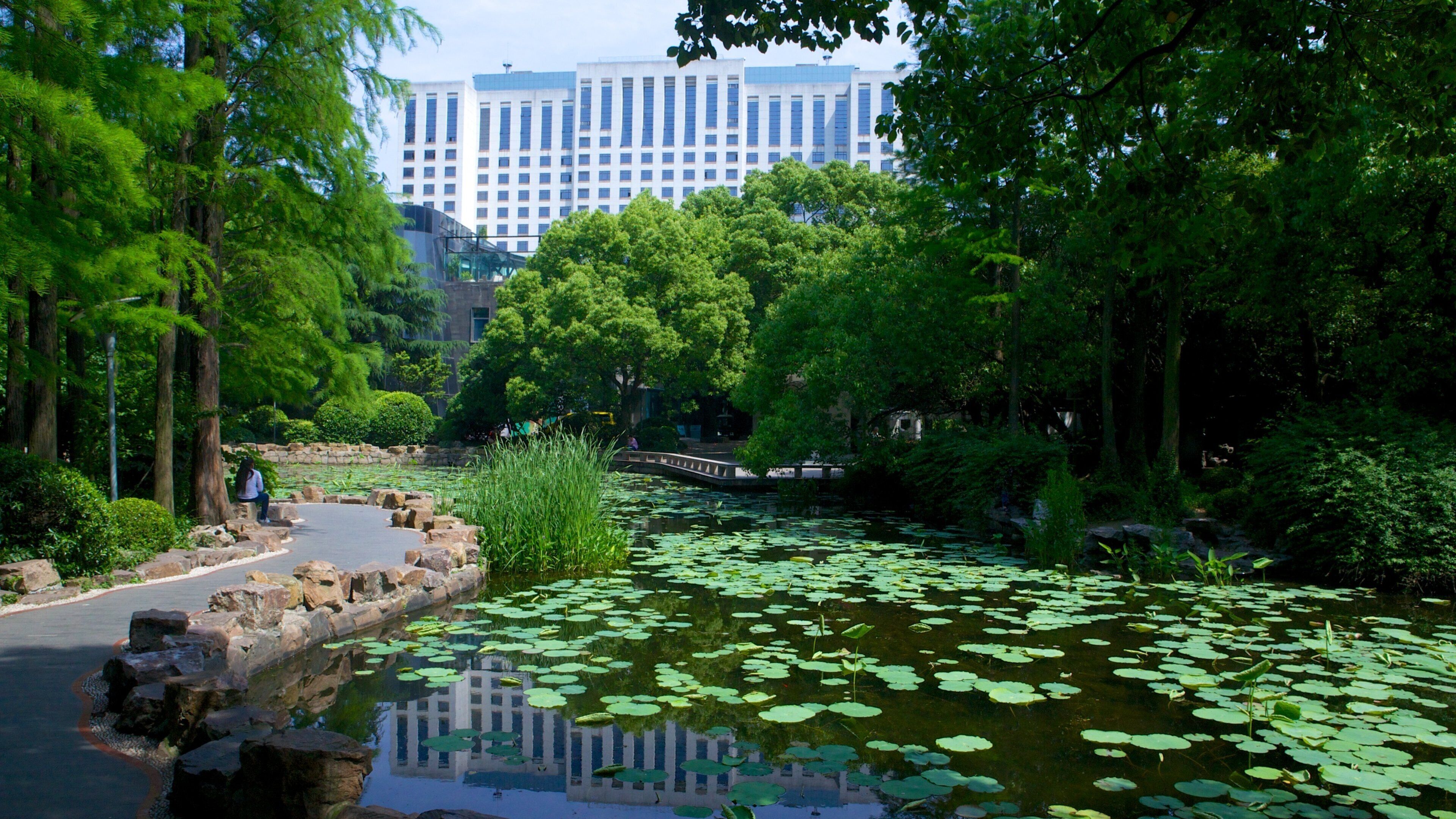 MOCA Shanghai which includes a pond and a park