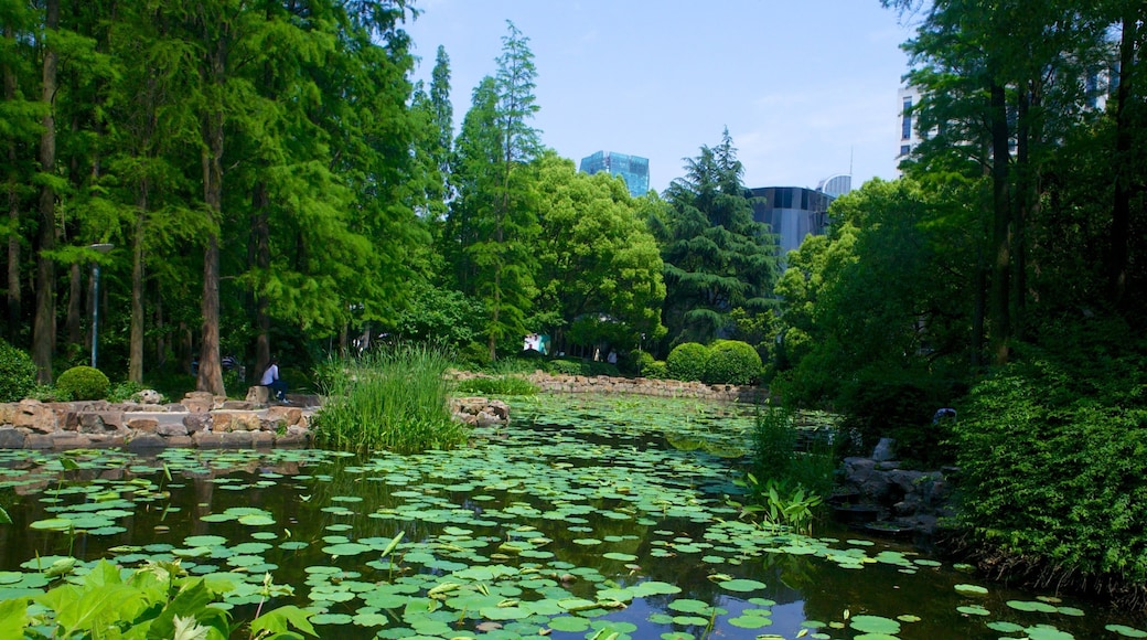Museo MOCA de Shanghái que incluye un parque y un estanque