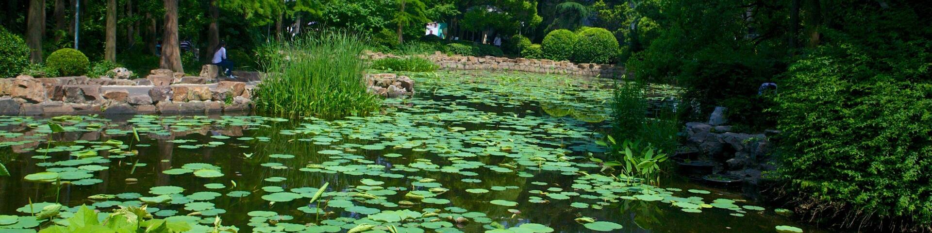MOCA Shanghai showing a pond and a park