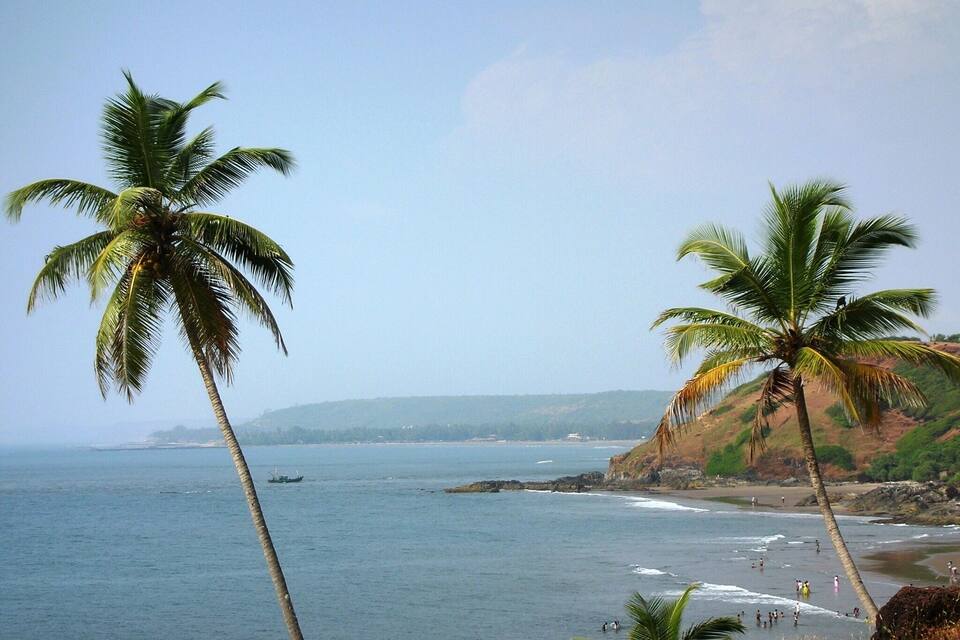 A beach with palm trees and a boat in the water.