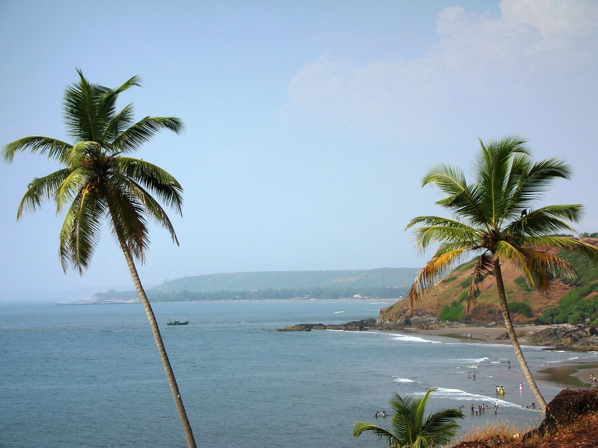 A beach with palm trees and a boat in the water.