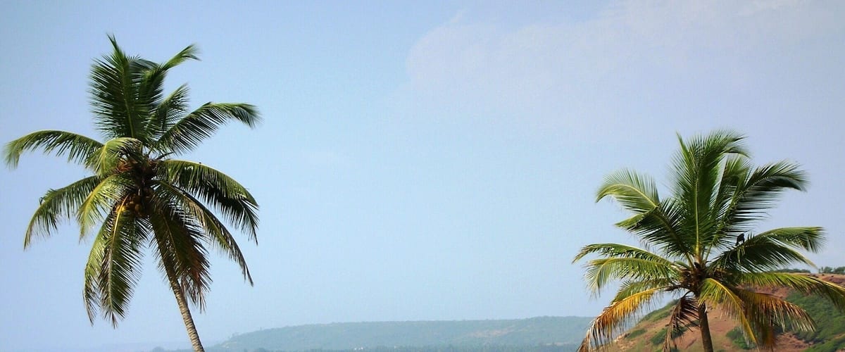 A beach with palm trees and a boat in the water.