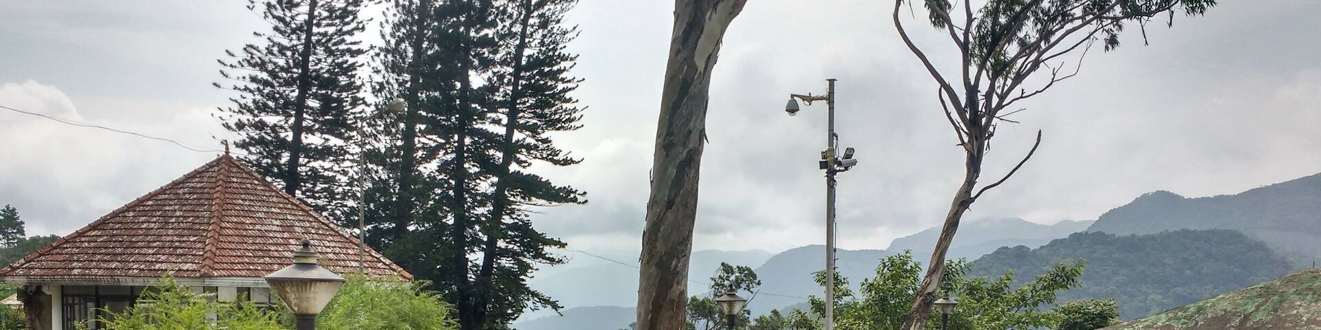 Amazing hill station resort with Misty , Chilling with wonderful Nature ..22 hair Pin Bends to the top of Ponmudi with foggy , chilling with wonderful Nature views...