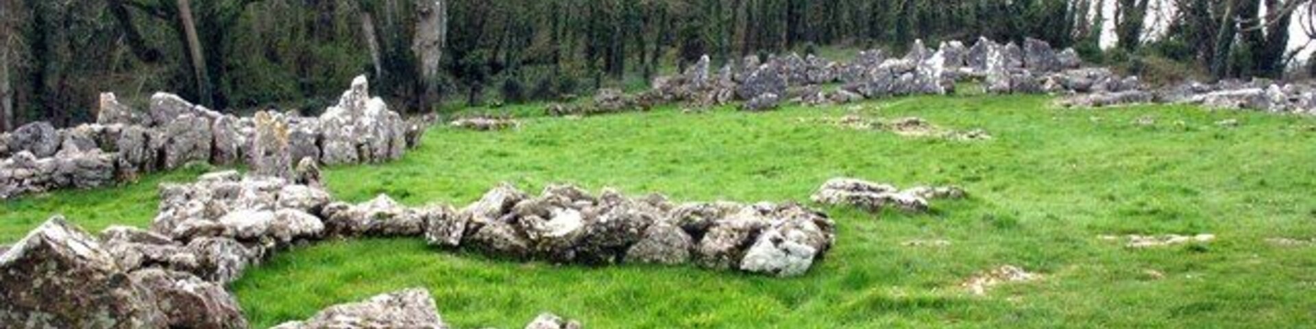View in NW direction across the enclosure This photo is taken from the site of another domestic building at the SE corner of the enclosure.