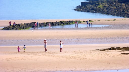 Fish trap built near the low-tide mark of Lligwy Bay, near Moelfre, Anglesey. Post-medieval in date, it is covered at high-tide, and would have trapped fish in the pond it creates at low-tide.