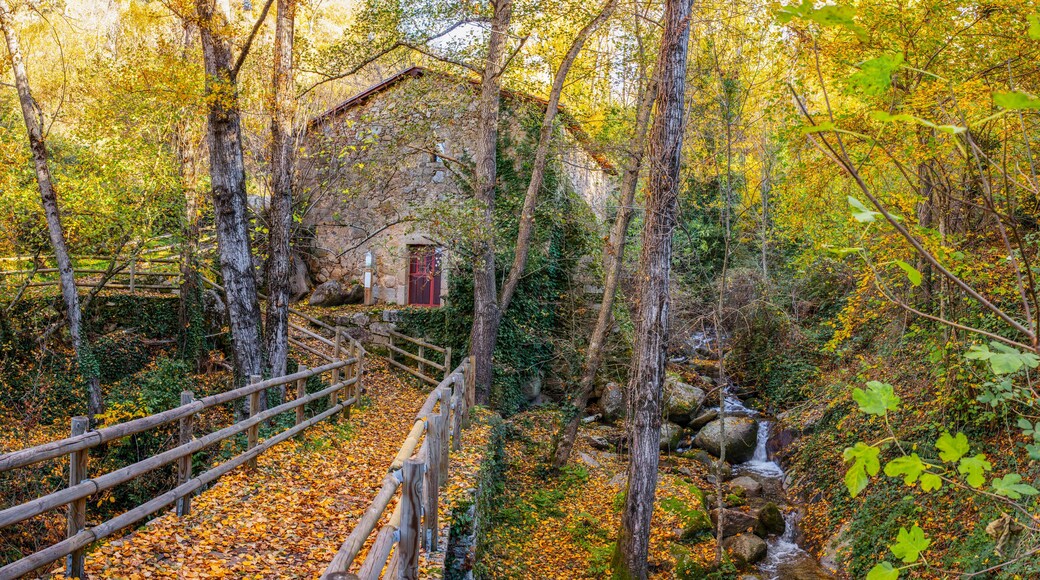 Baños de Montemayor