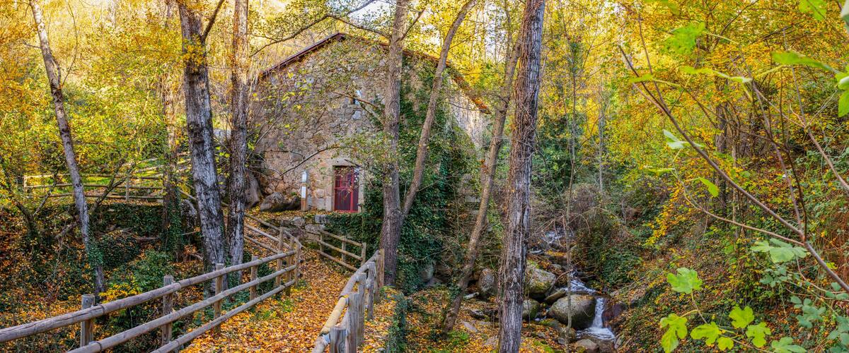 A stone building with a red door surrounded by autumn foliage and a wooden bridge over a stream.