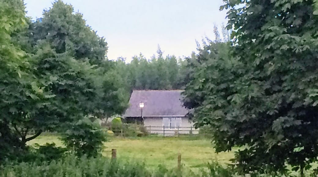 Glimpse of a farmhouse, off Pretoria Road, Ibstock.