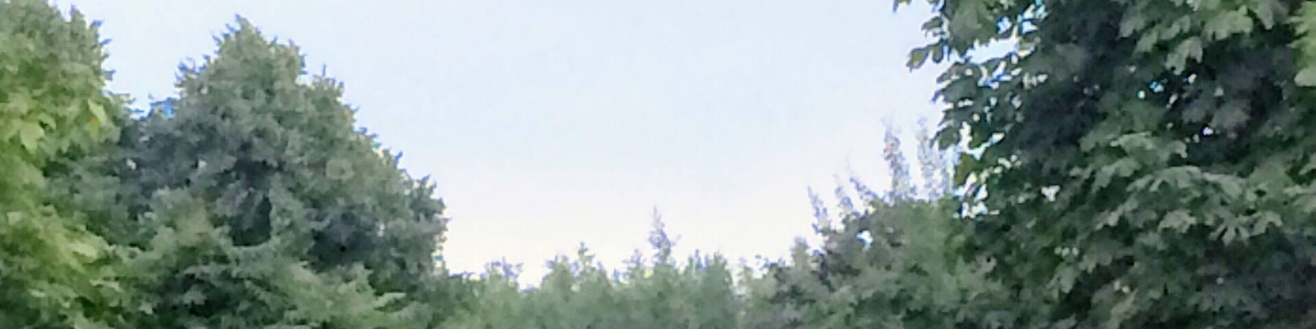 Glimpse of a farmhouse, off Pretoria Road, Ibstock.