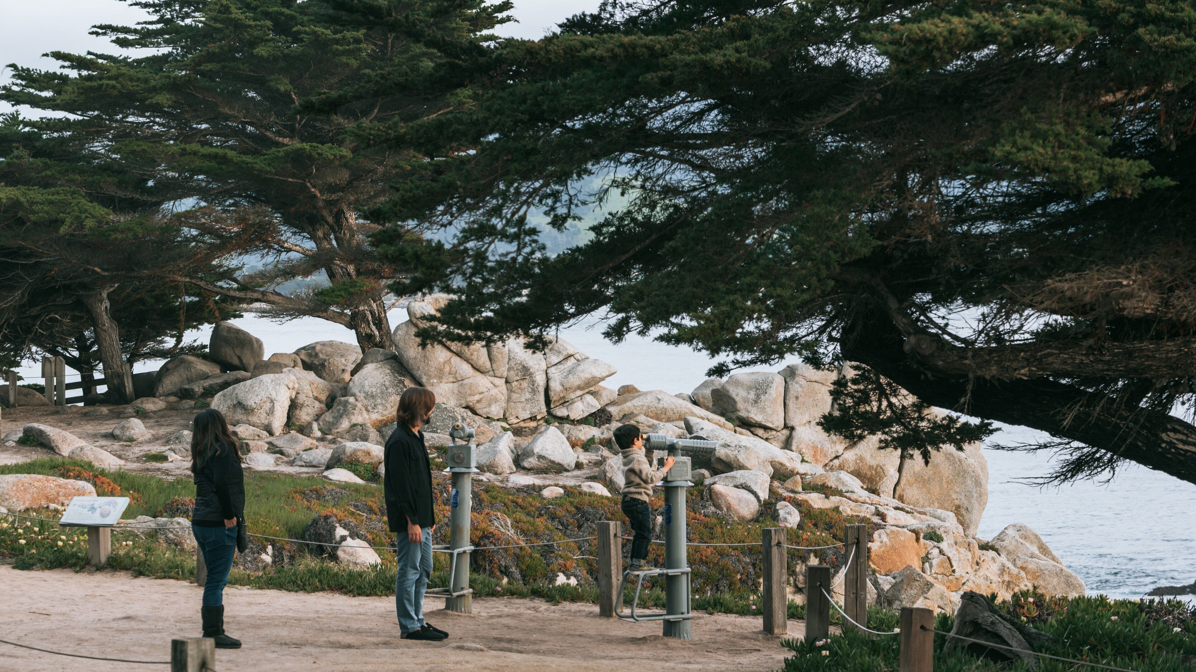 17-Mile Drive showing general coastal views and views as well as a family