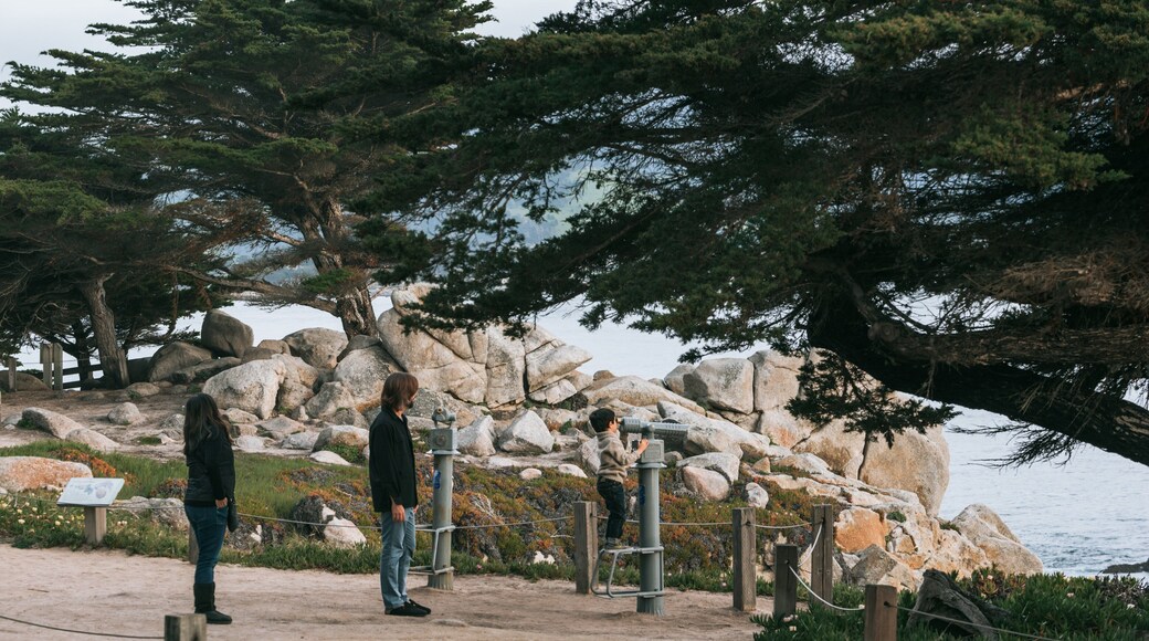 17-Mile Drive showing general coastal views and views as well as a family