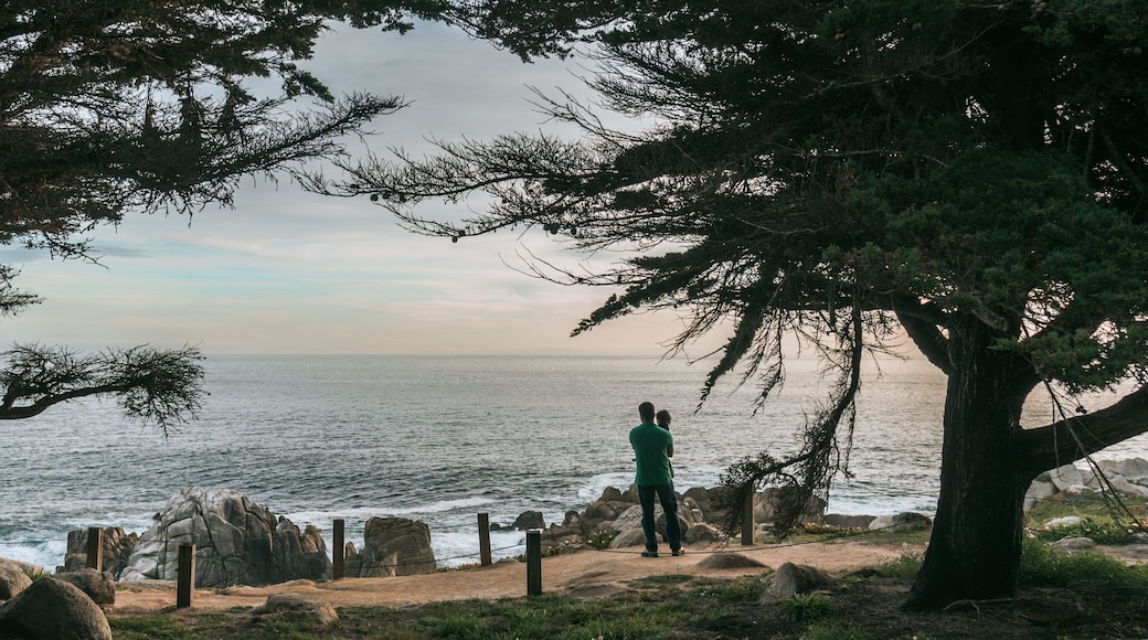 17-Mile Drive which includes general coastal views and a sunset as well as a family