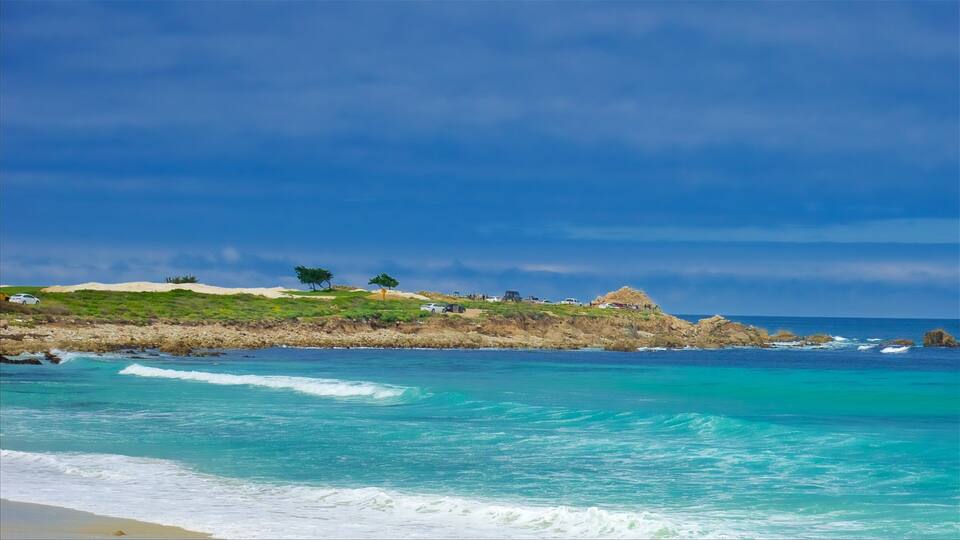 17-Mile Drive caracterizando litoral acidentado e uma praia