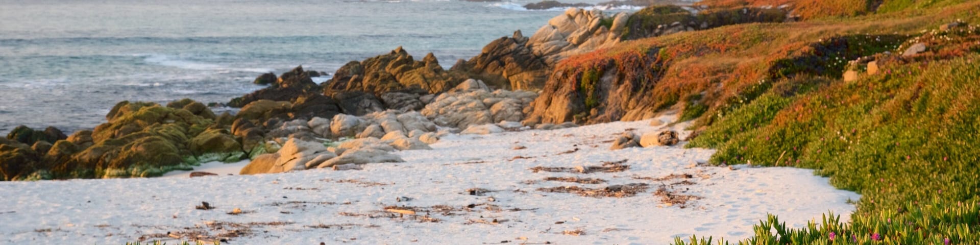 Zentralkalifornien das einen schroffe Küste und allgemeine Küstenansicht