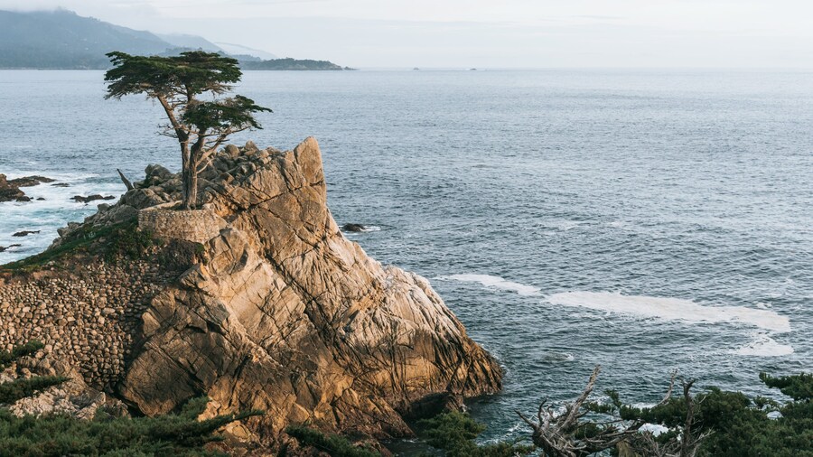 17-Mile Drive featuring general coastal views and rocky coastline
