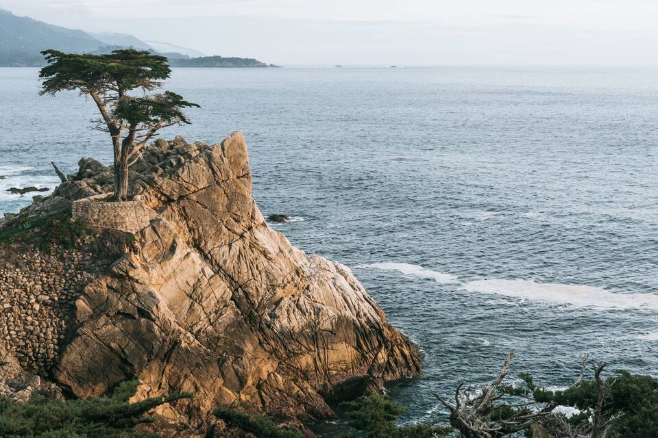 A rocky coastline with a prominent tree on a cliff overlooking the sea.