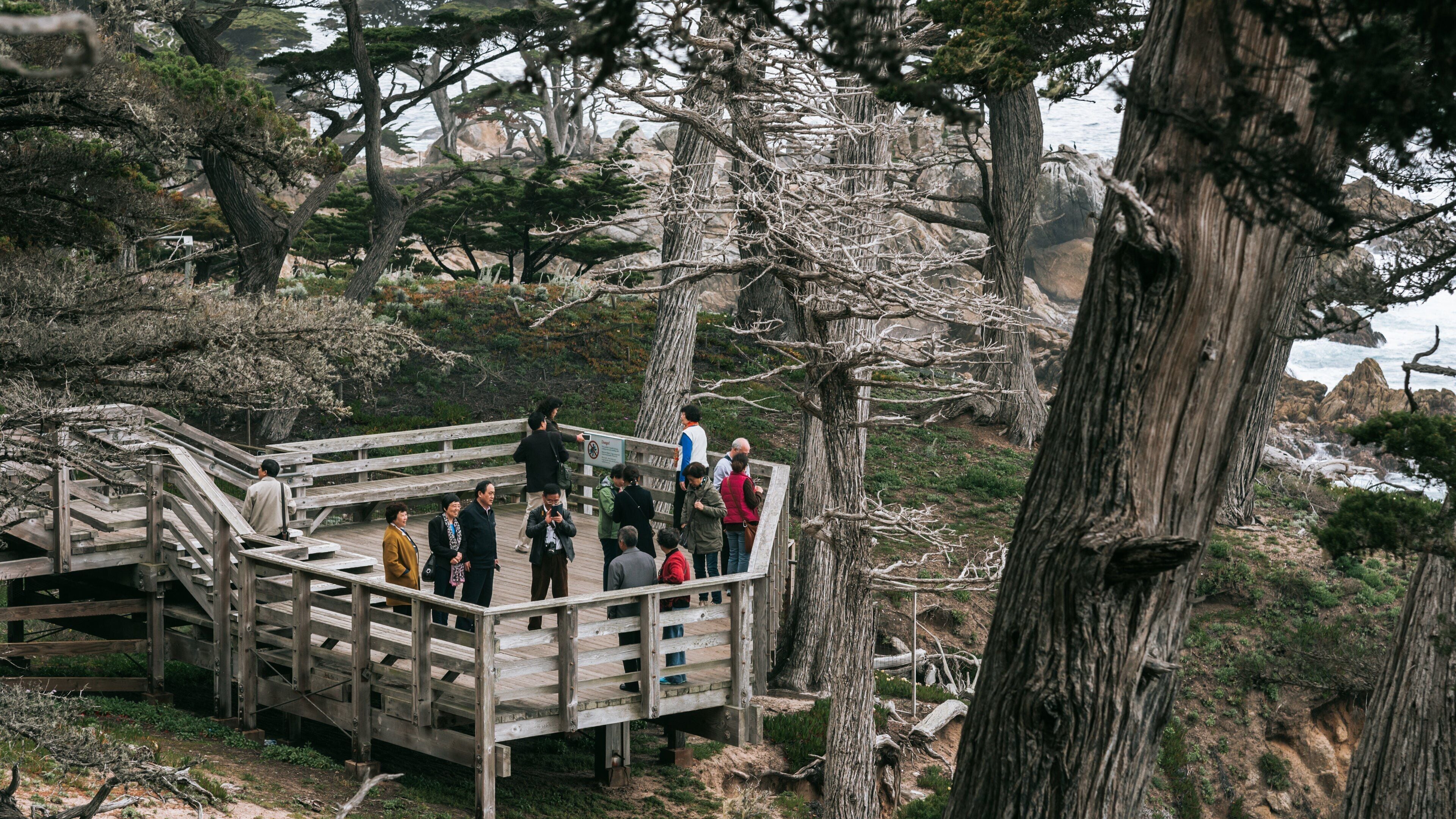 17-Mile Drive featuring rocky coastline and views as well as a small group of people