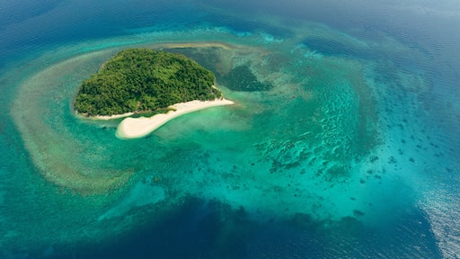 Tropical island in the blue sea with atoll and the beach. Agutaya island, Philippines.