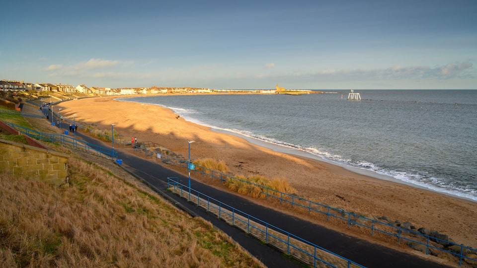 A coastal road with a beach, a lighthouse, and residential buildings.