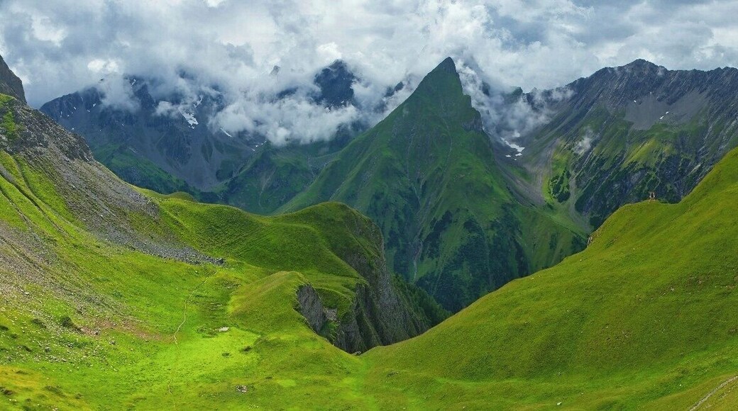 July 2015
Freispitze, Lechtaler Alps
View of the Parseier Tal (=valley) canyon from Memminger Huette (2.242 m alt.). In the middle the slope of Freispitze summit (2.884 m) and on the right Saxer Spitze summit (2.690 m). In the middle of summer afternoon clouds bring rain and sun sometimes illuminates the rich green meadows around the hut.
