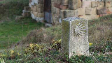 A weathered stone monument with a carved sun design, surrounded by grass and weeds.
