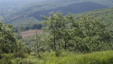 auf dem Weg nach San Juan de Ortega