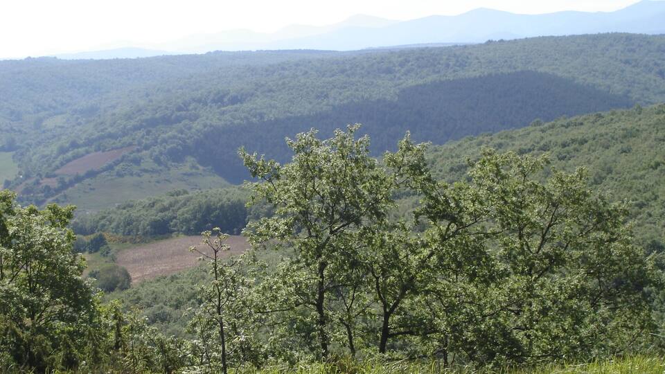 A mountainous landscape with dense forests and a clear sky.