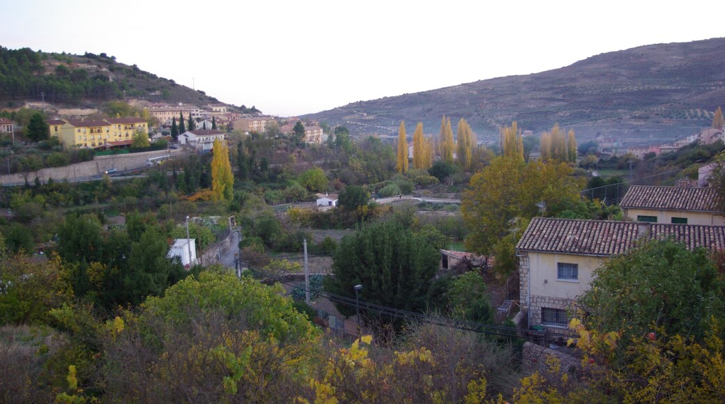 ® PASTRANA A.E.S. BARRANCO DE LA VIGA GORDA