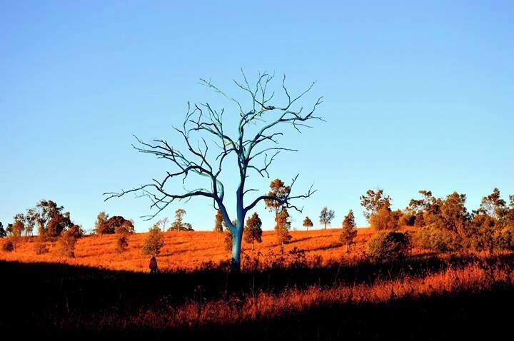 I think this was the best time to see this incredible find ... (thanks Trover) - Dusk.
#Blue