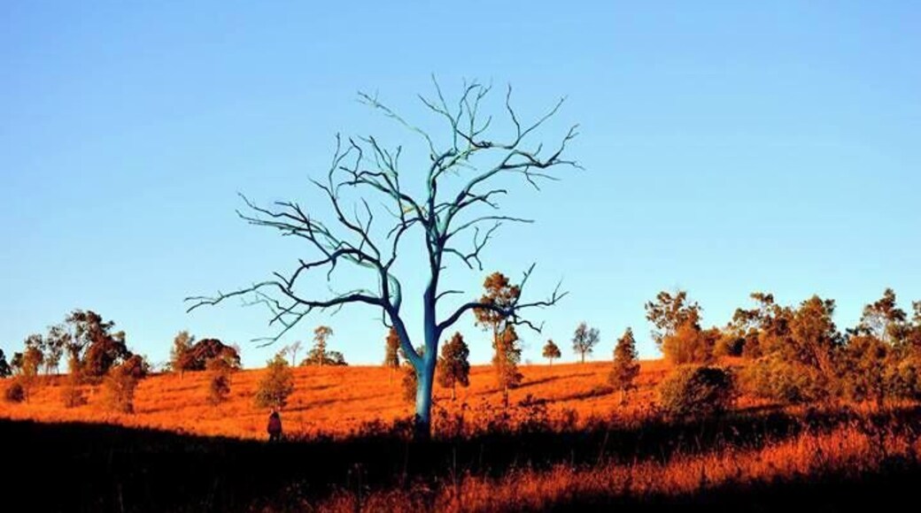 I think this was the best time to see this incredible find ... (thanks Trover) - Dusk.
#Blue