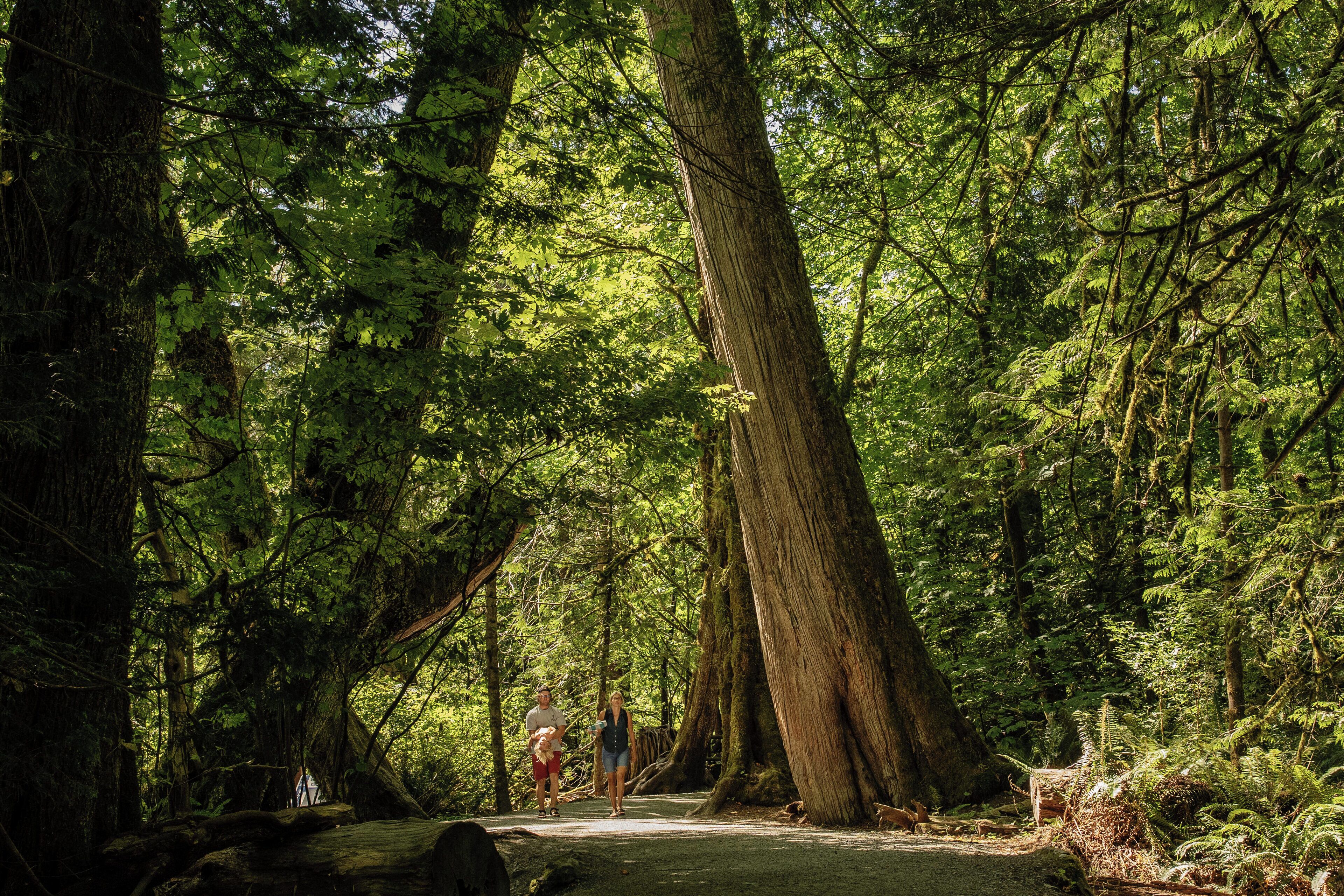 Victoria_GoldstreamProvincialPark_6154293-7