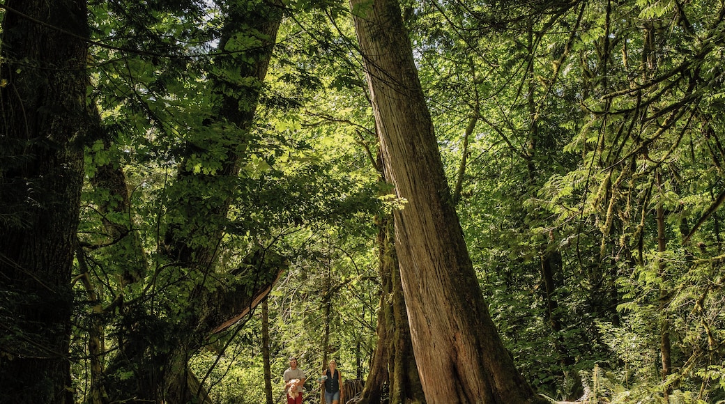 Victoria_GoldstreamProvincialPark_6154293-7