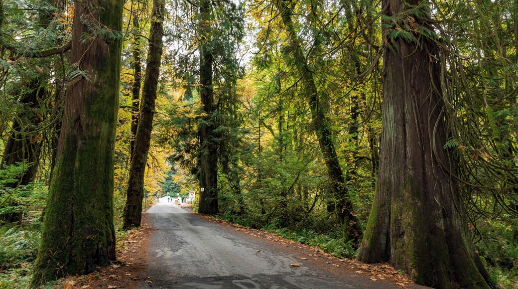 Victoria_GoldstreamProvincialPark_6154293